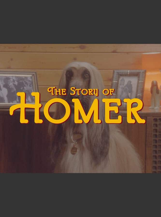 The Story of Homer