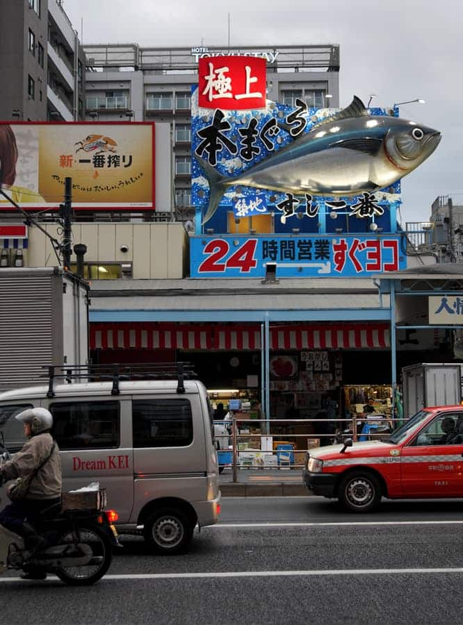 Tsukiji Fish Market