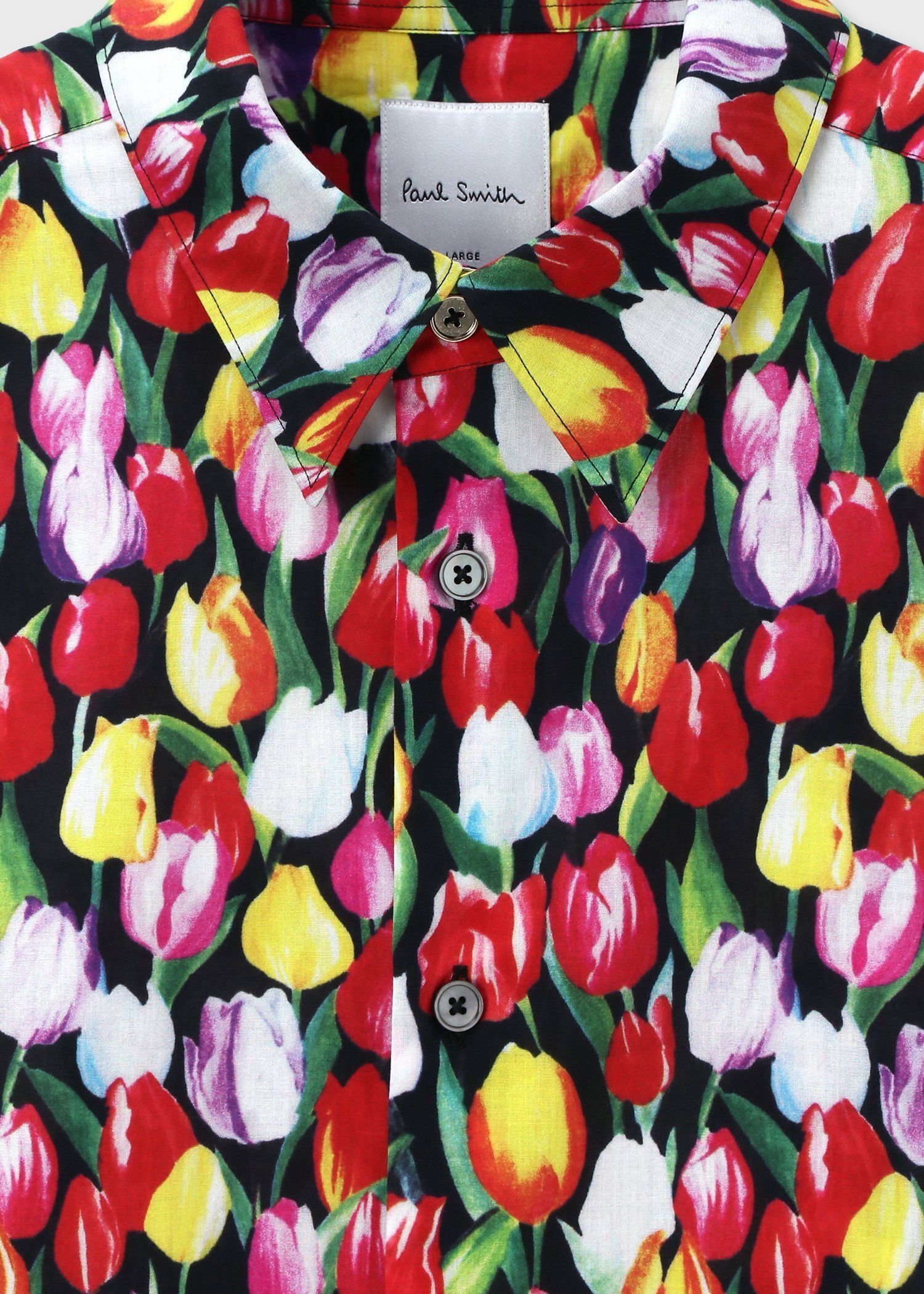 Archive Tulip