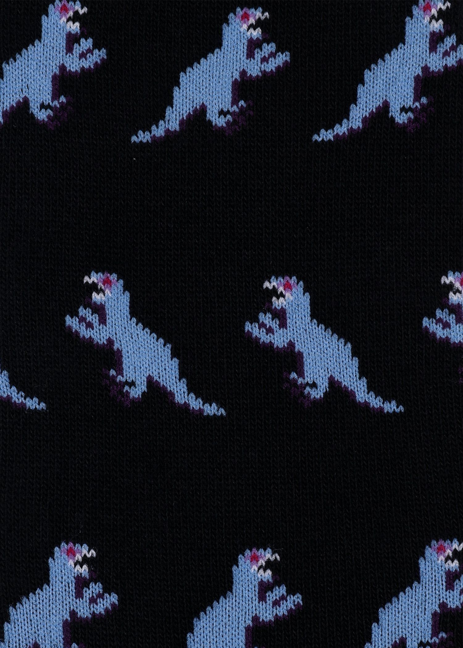 "Dino" ソックス