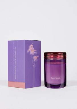 Paul Smith キャンドル 240g（パープル） ｜ポール・スミス