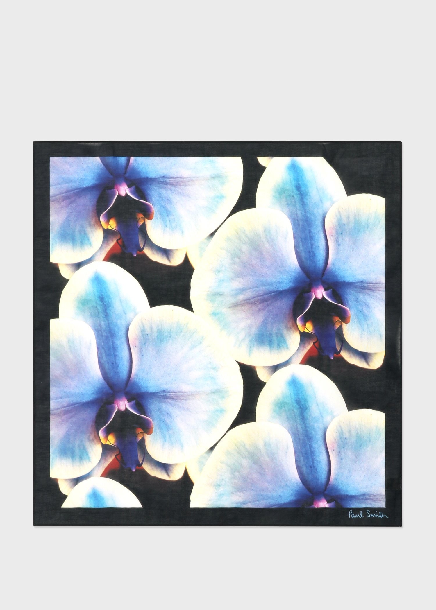 "Orchid" ハンカチ