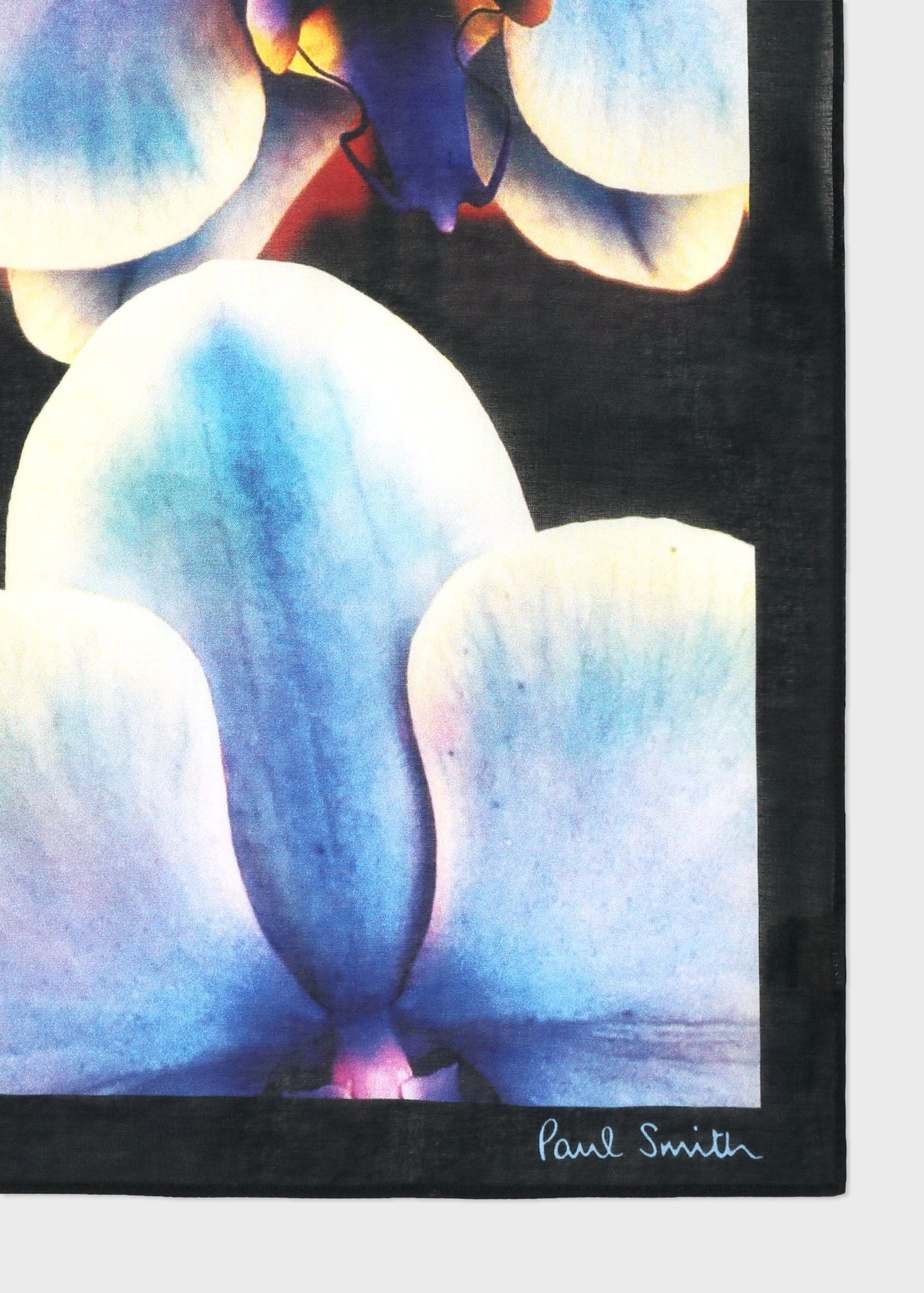 "Orchid" ハンカチ