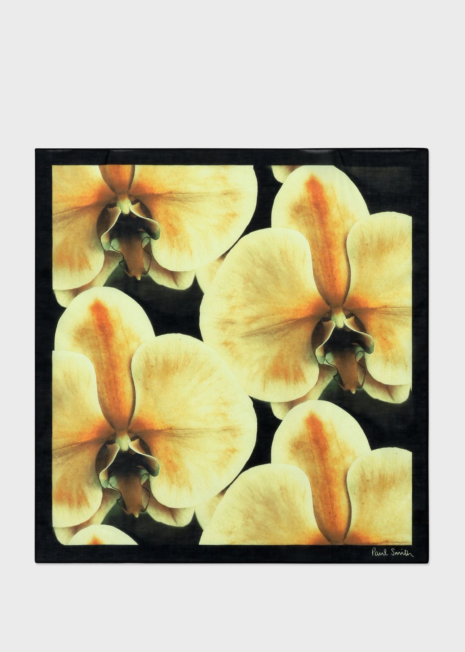 "Orchid" ハンカチ