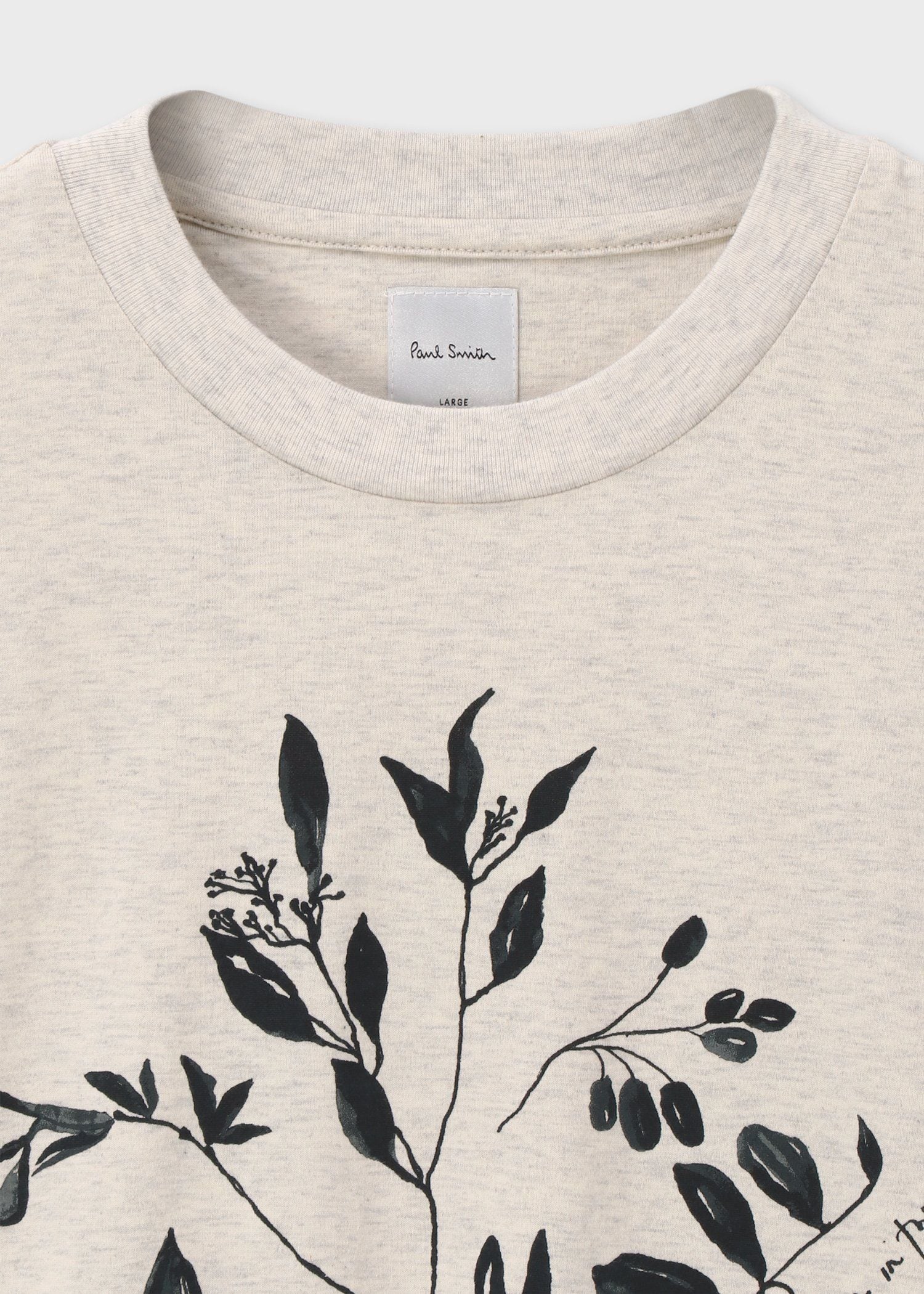 Olive Rabbit
