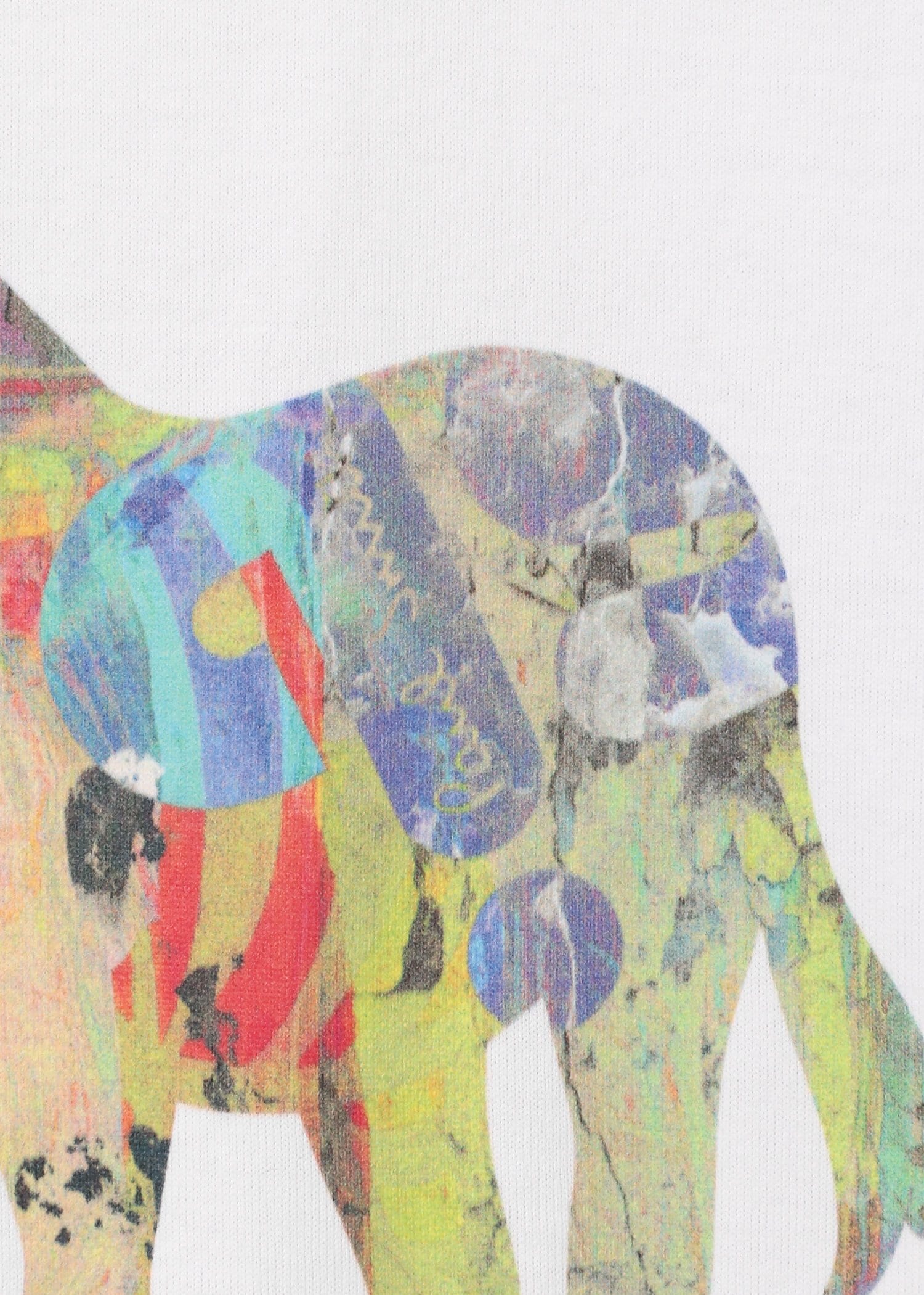 "Craft Zebra" 半袖カットソー