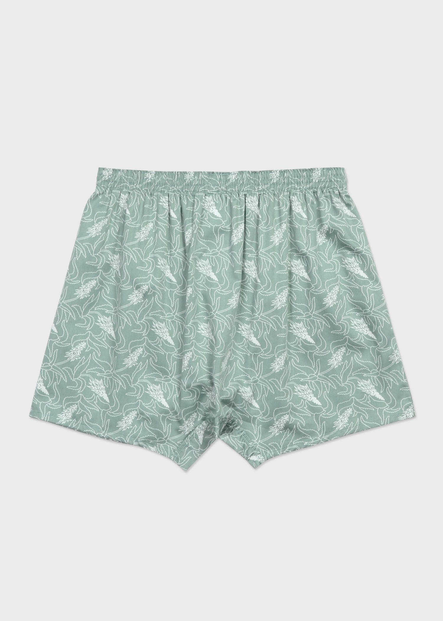 "Aloe" トランクス