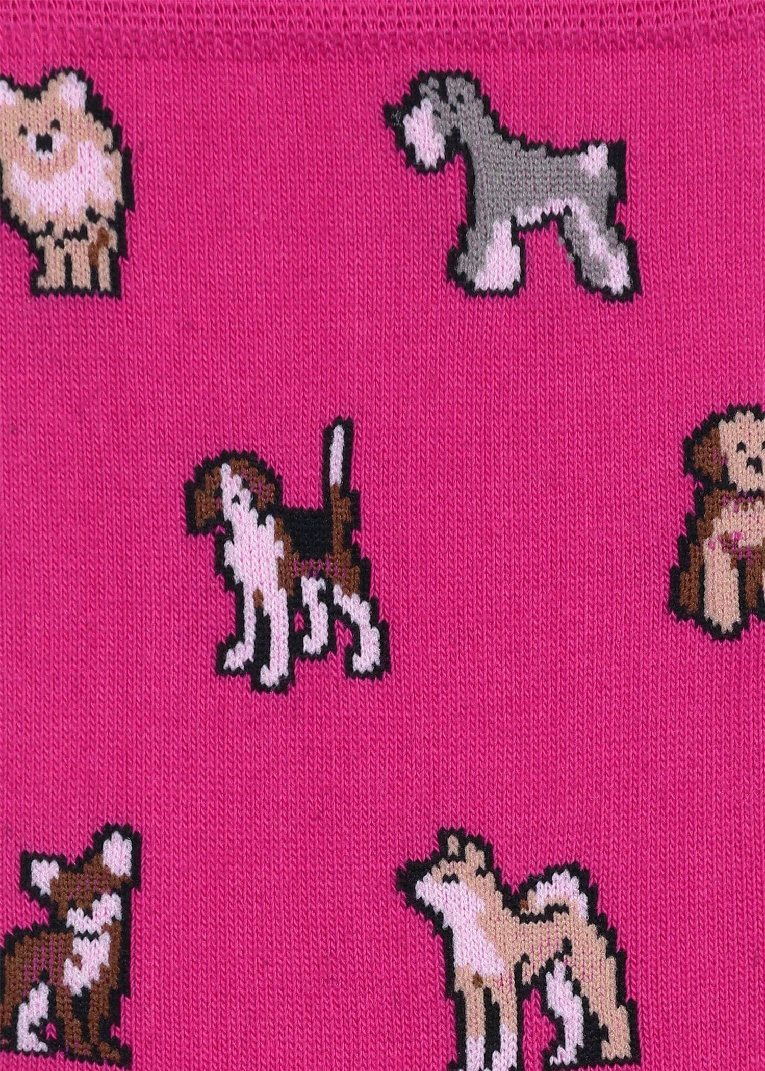 ウィメンズ "Kyoto Dogs" ソックス