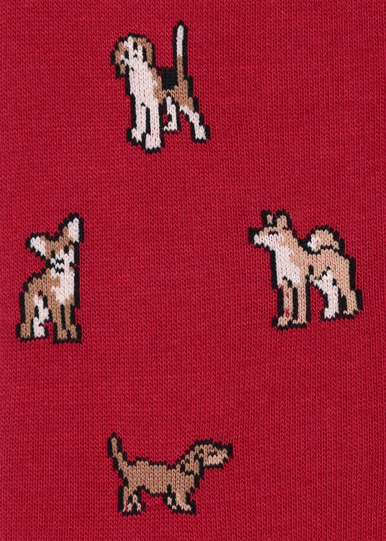 Kyoto Dogs