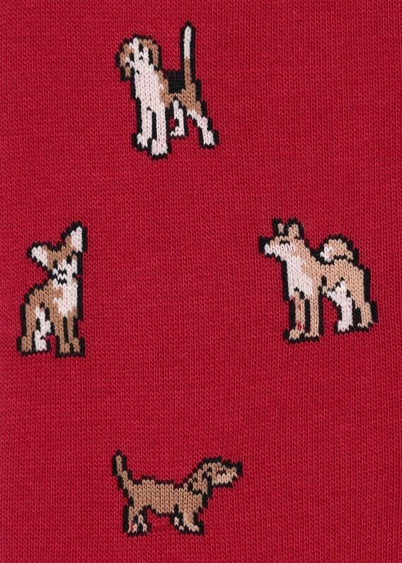 ポールスミス　4足わんちゃん刺繍　ホワイトソックス ポールスミス 4足わんちゃん刺繍 ホワイトソックス