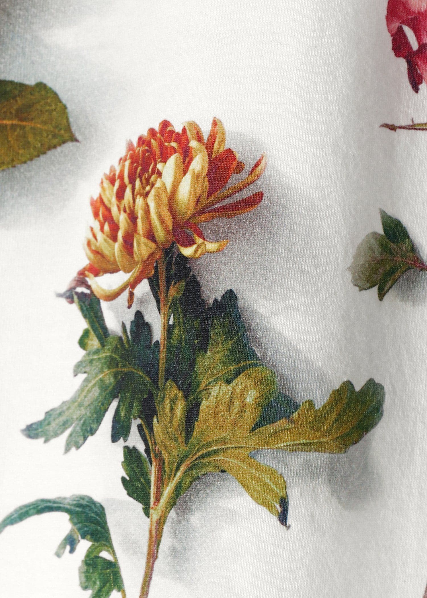 ウィメンズ フラワー ヘムプリント 半袖Tシャツ |ポール・スミス ウィメンズ フラワー ヘムプリント 半袖Tシャツ |ポール・スミス