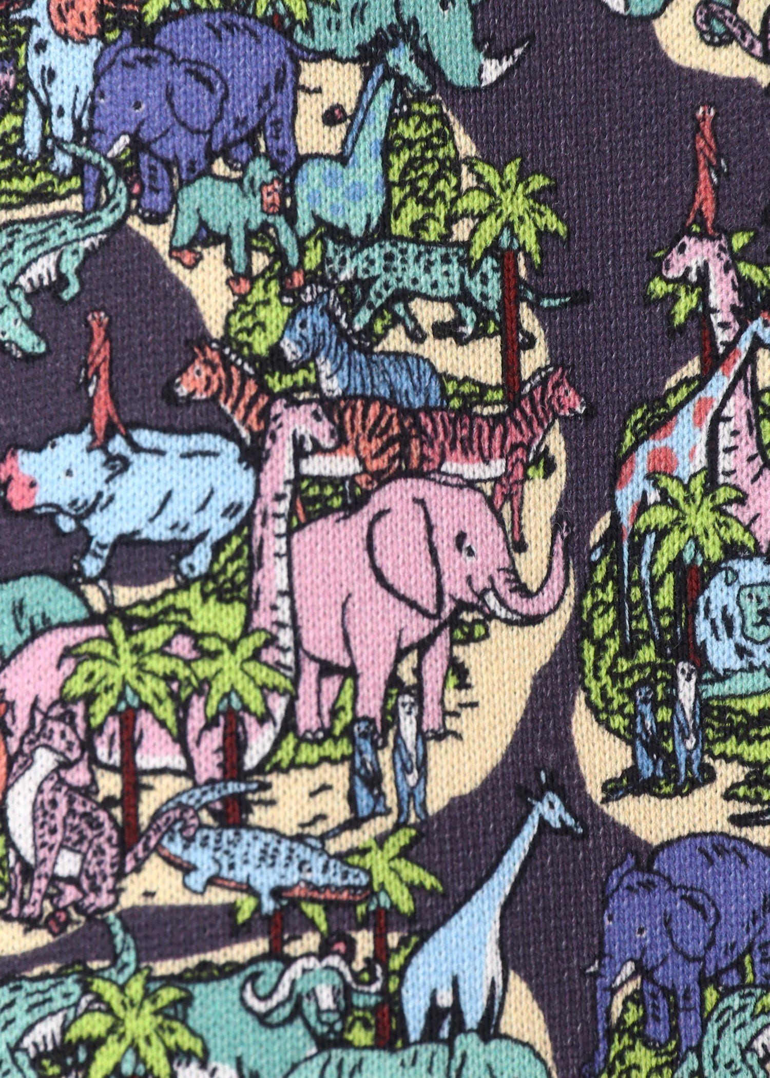 ジュニア アニマルアイランド スウェット