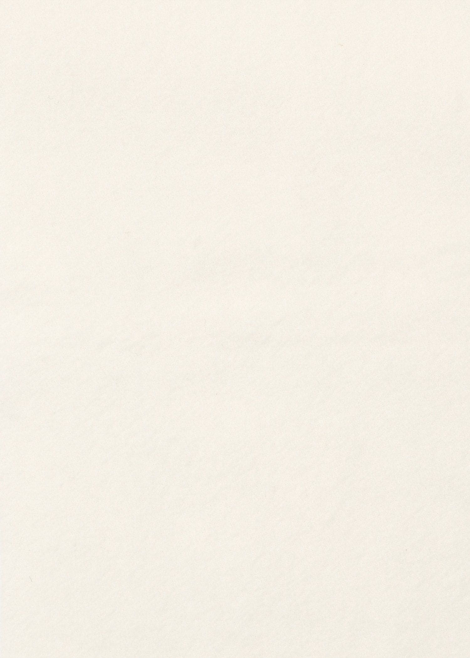 ウィメンズ "PS Happy" エンブロイダリー マフラー