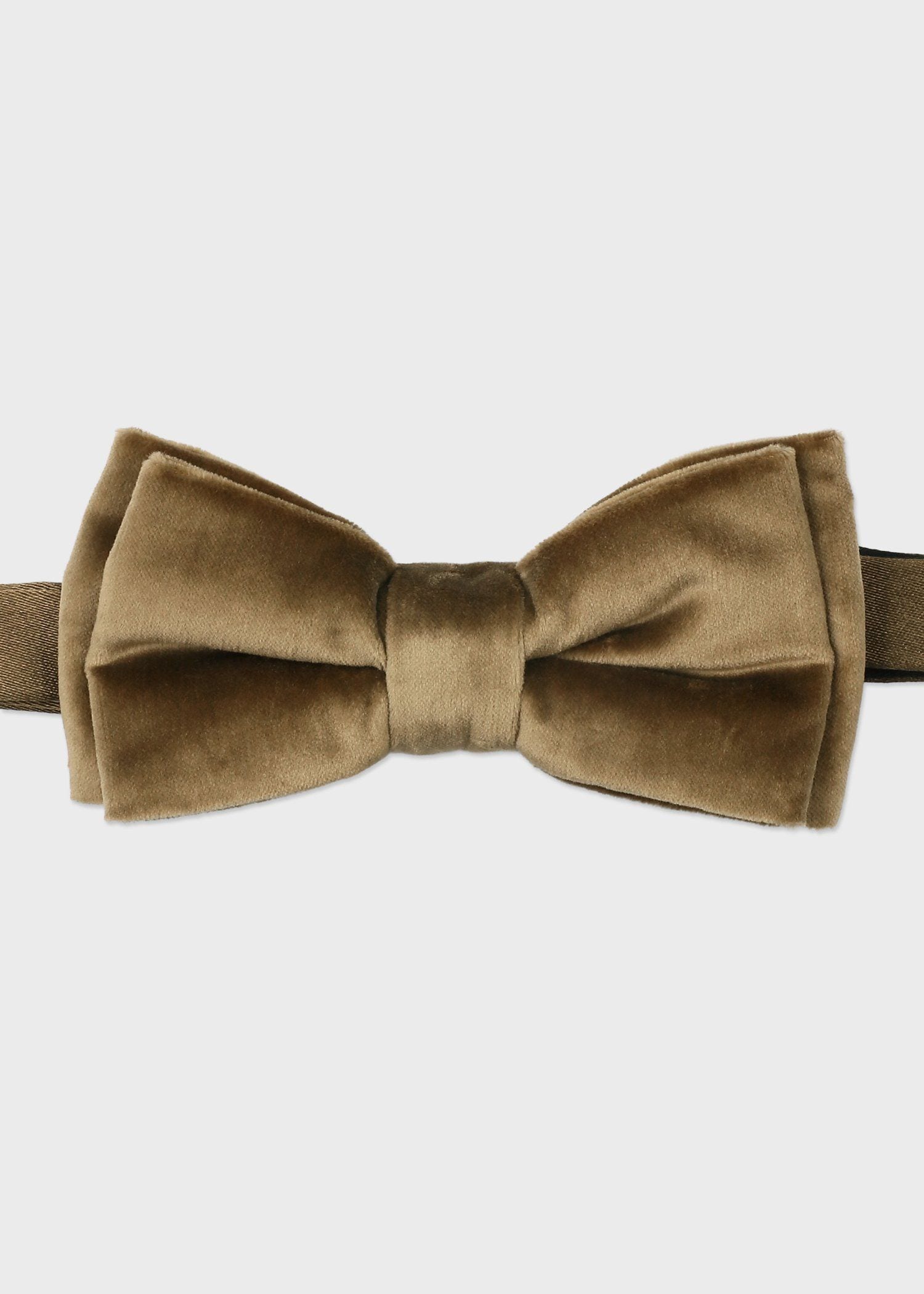 コットンベルベット ボウタイ