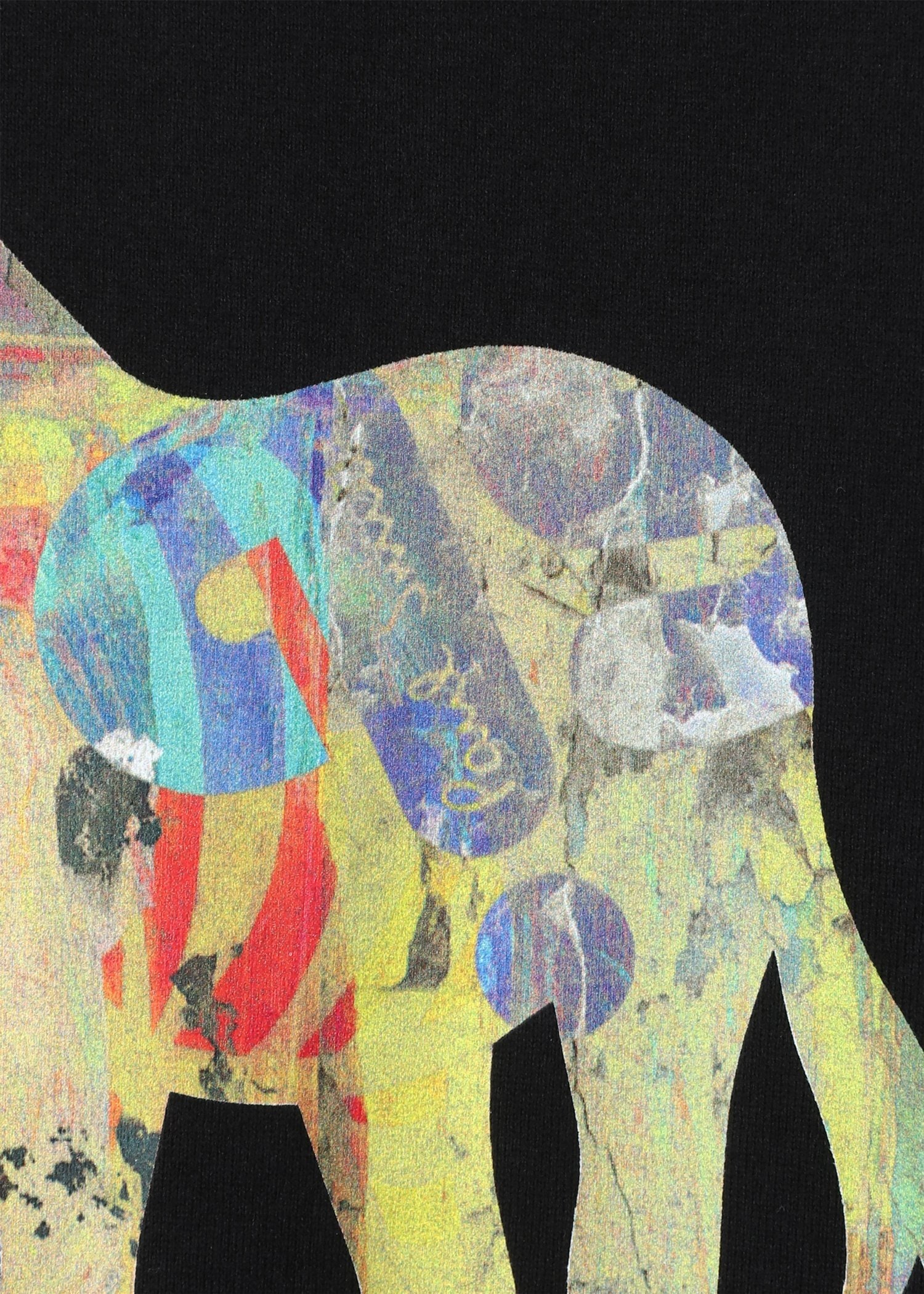 "Craft Zebra" 半袖カットソー