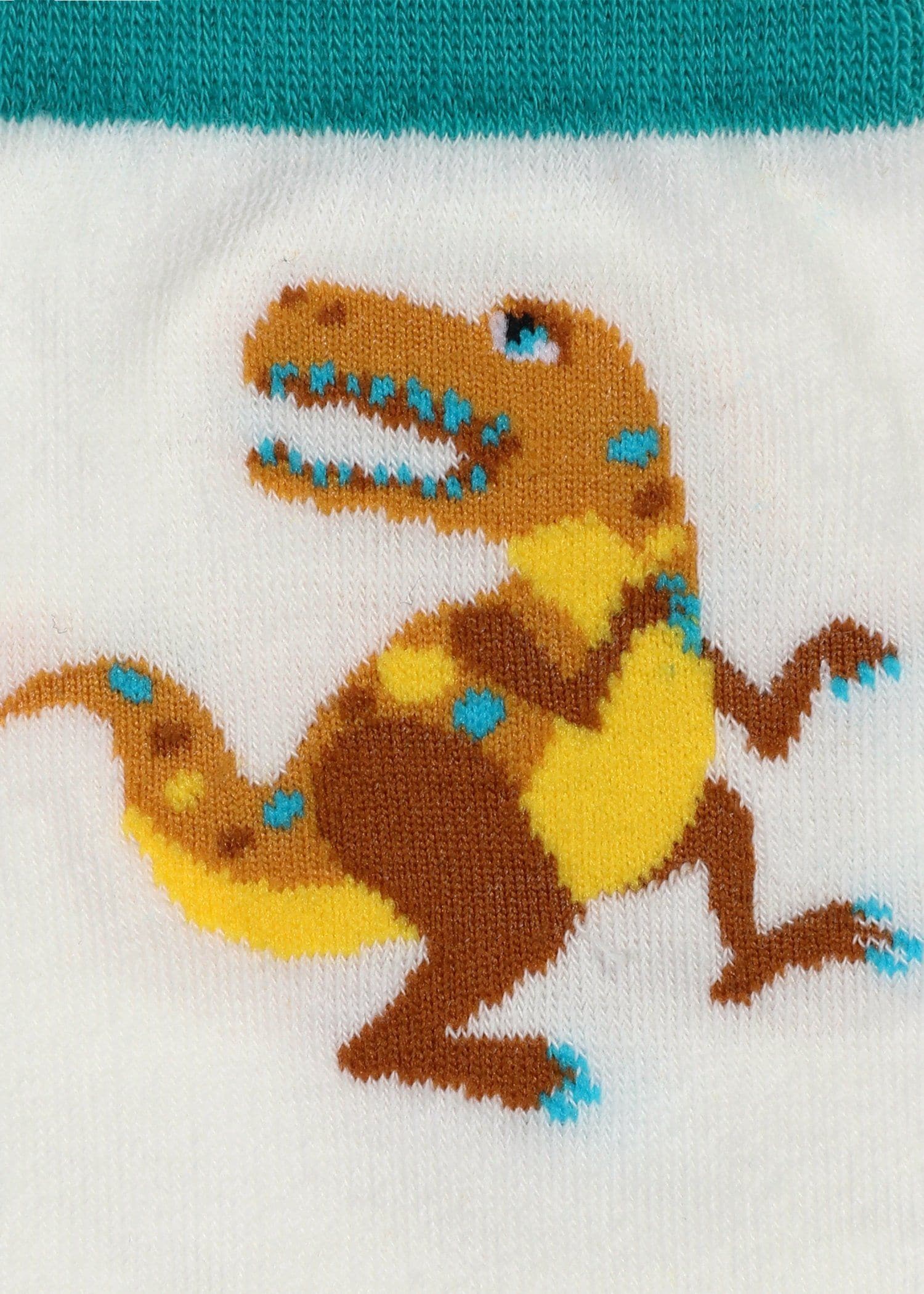 ボーイズ ダイナソー ソックス