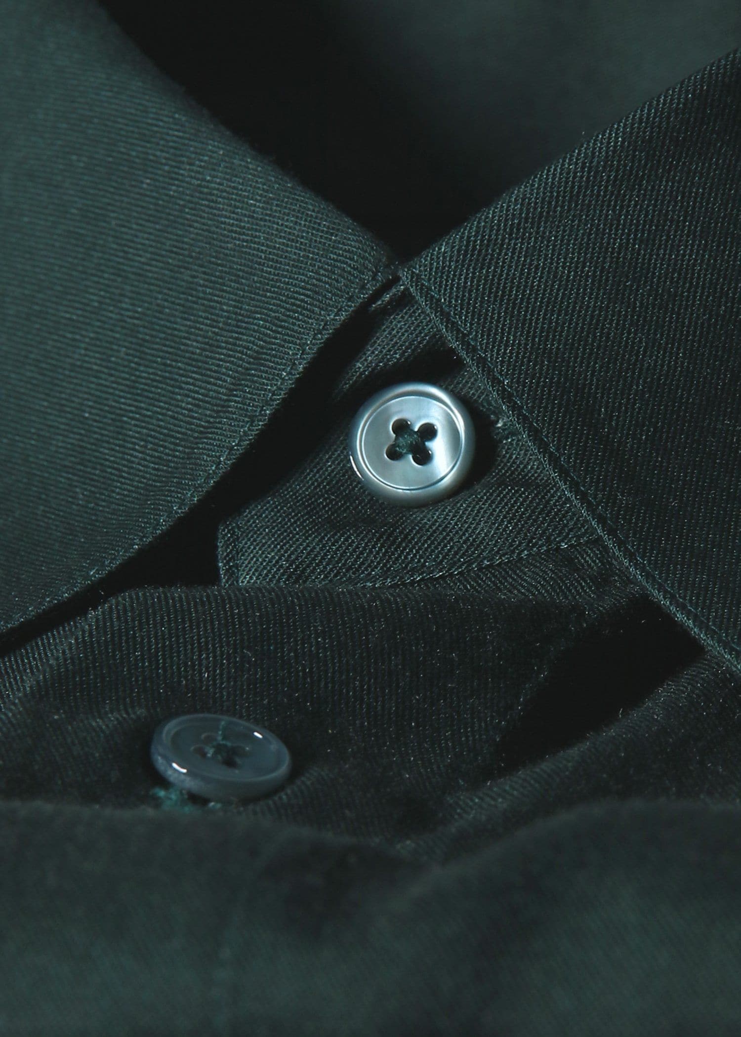 Orchid