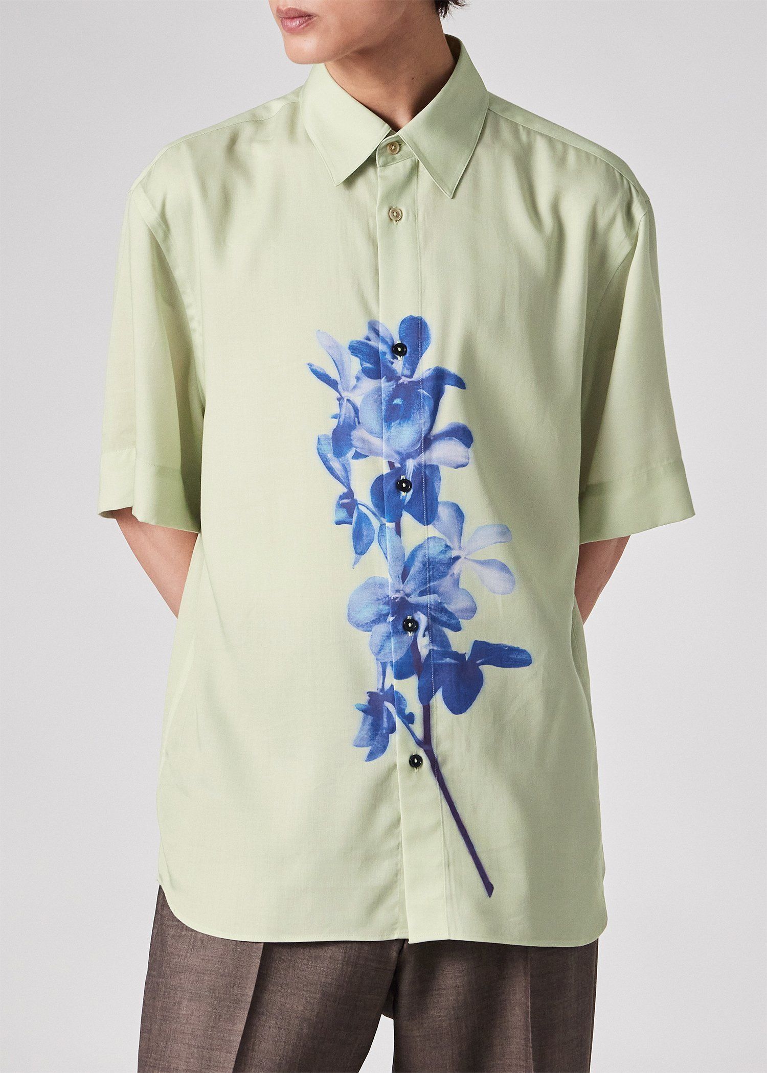 Orchid
